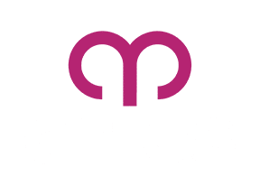 Aries classic logo