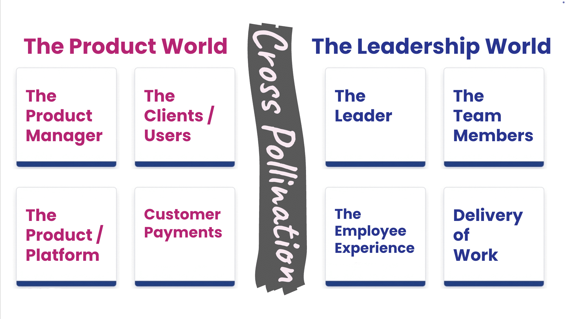 Product Management cross-pollination